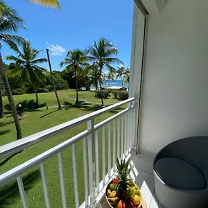 Iguana Vue Avec Cuve Appartement Saint-Francois (Grande-Terre)